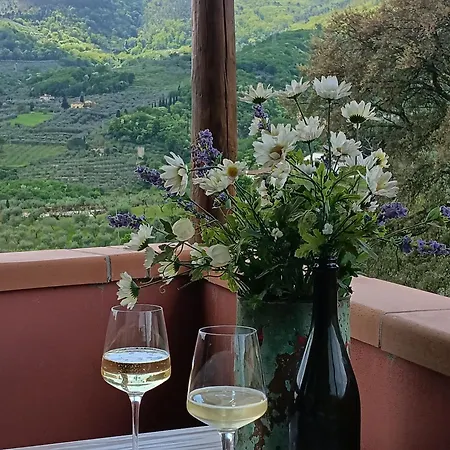 Borgo Cintoia Casa Per Vacanze Lucciano